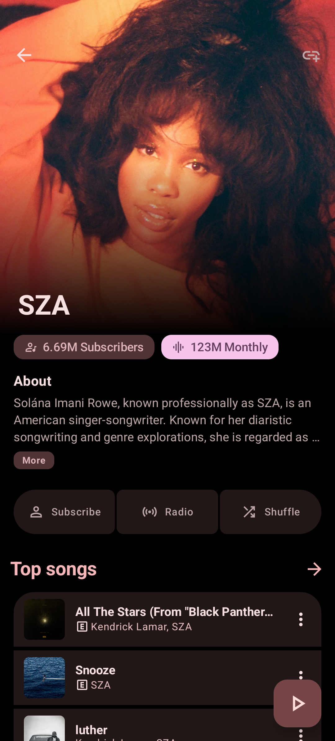 Artist page in the Android app
